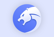 猎豹浏览器 （9.0.112.22446） v9.0.112.22446