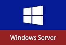 Windows Server 2008R2-2025 自制补丁集成版 - placeholder 20260102