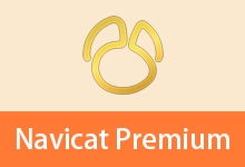 Navicat Premium v17.3.11.0 数据库管理工具