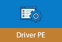 最全驱动 DriverPE Win11 23H2 维护版 (v1.1)