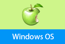 Win10 v20260113 22H2 19045.6693 Pro x64 优化版
