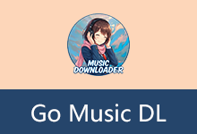 音乐搜索与下载工具 | Go Music DL (v1.0.33)